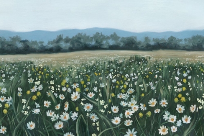 Picture of APRIL FLOWERFIELD III