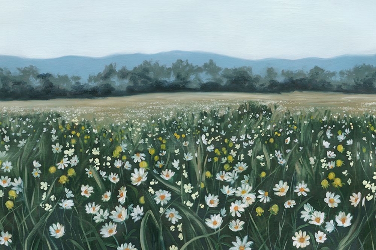 Picture of APRIL FLOWERFIELD III