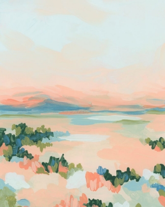 Picture of DESERT COLORS I