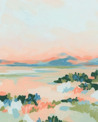 Picture of DESERT COLORS II