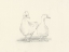 Picture of QUACK QUACK II