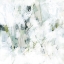 Picture of SNOW MINT II