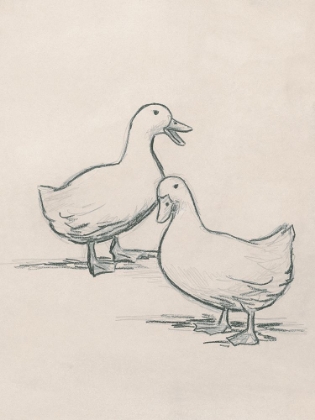 Picture of DUCK SKETCH I