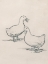 Picture of DUCK SKETCH I