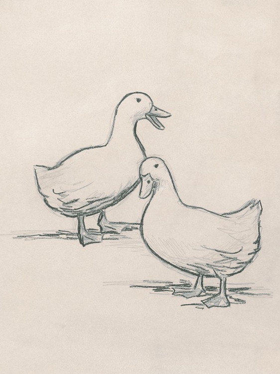 Picture of DUCK SKETCH I