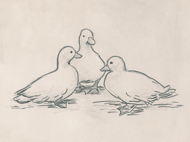 Picture of DUCK SKETCH III