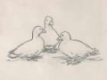Picture of DUCK SKETCH III