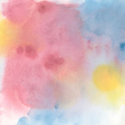 Picture of RAINBOW LITMUS I