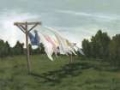 Picture of VINTAGE CLOTHESLINE I