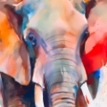 Picture of ELEPHANT L