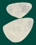 Picture of TINKS