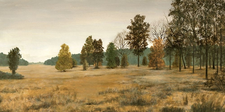 Picture of BARREN TREE PANORAMA II