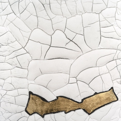 Picture of CRACKLED SPALLING I