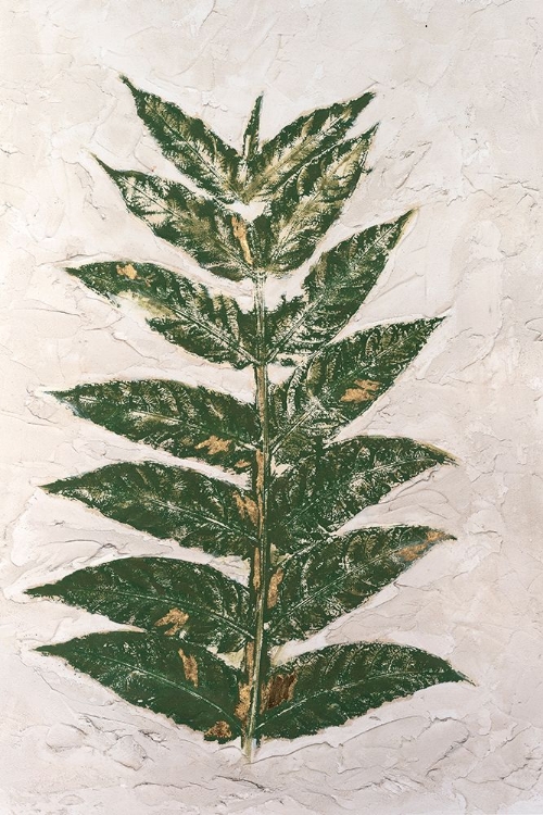 Picture of FRESCO FROND I