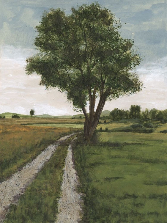 Picture of SO MANY ROADS I