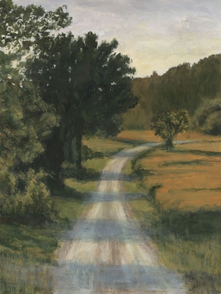 Picture of SO MANY ROADS II