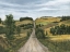Picture of SO MANY ROADS VI