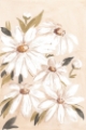 Picture of SOFT DAISIES I