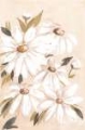 Picture of SOFT DAISIES I