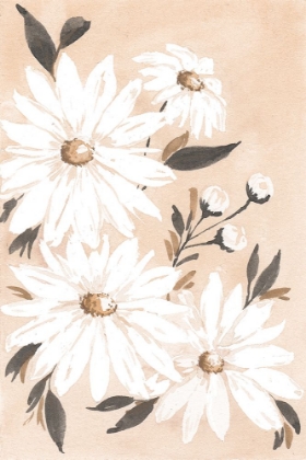 Picture of SOFT DAISIES II