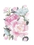 Picture of MAGENTA PERSUASION IV