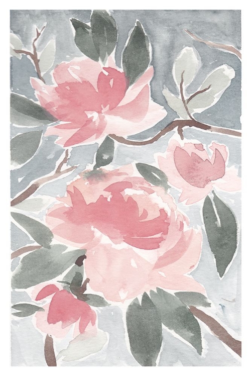 Picture of PINK MAGNOLIA I