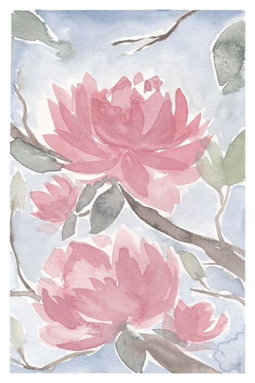 Picture of PINK MAGNOLIA II