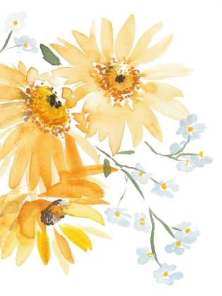 Picture of GLOWING SUNFLOWERS II