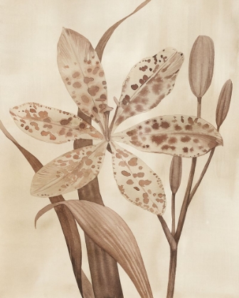 Picture of LEOPARD LILY I
