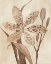 Picture of LEOPARD LILY I