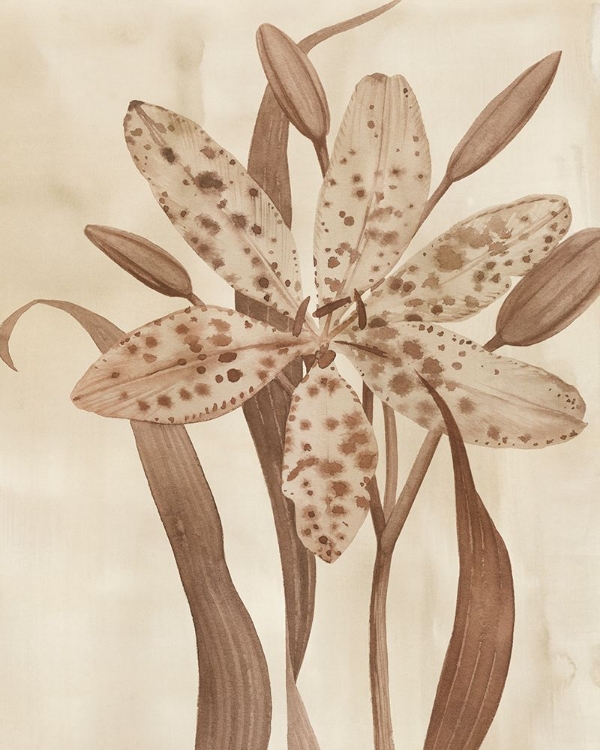 Picture of LEOPARD LILY II