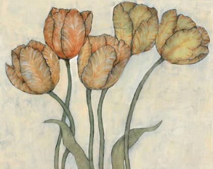 Picture of TULIP FLORAL STUDY I