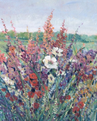 Picture of WILDFLOWERS IN PASTURE I