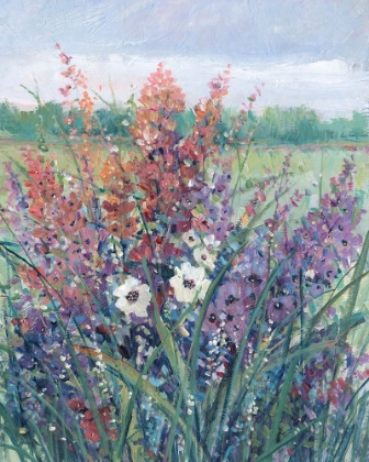 Picture of WILDFLOWERS IN PASTURE II