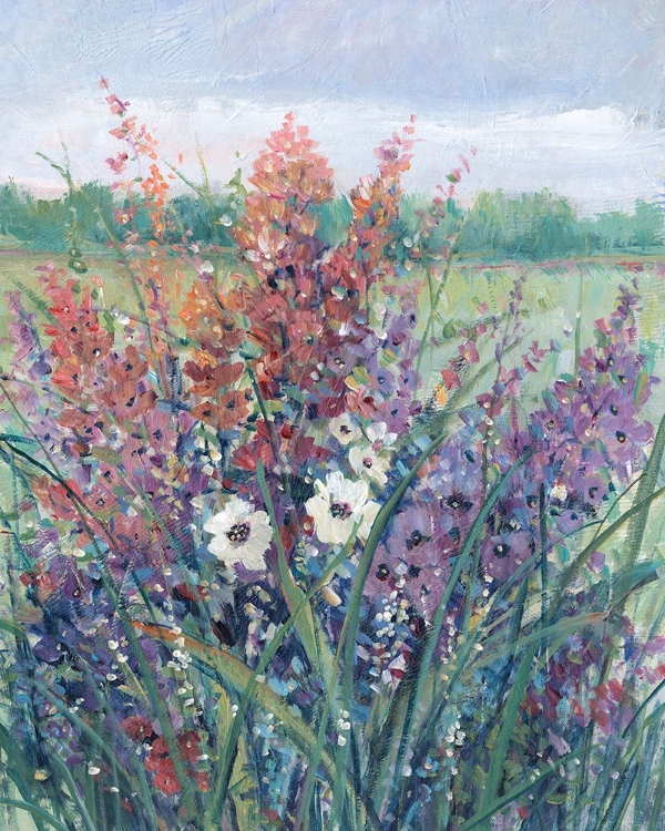 Picture of WILDFLOWERS IN PASTURE II