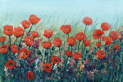 Picture of FIELD OF RED POPPIES II