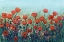 Picture of FIELD OF RED POPPIES II