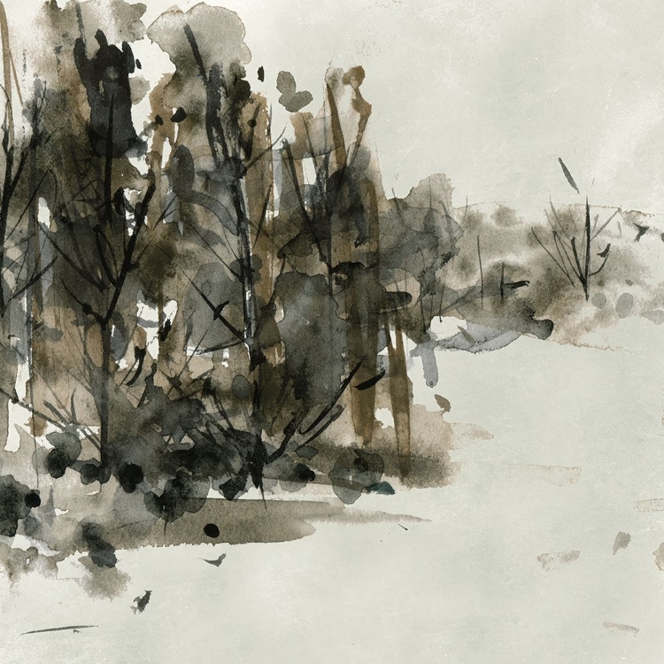 Picture of IN THE WINTER FOREST II