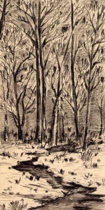 Picture of FIRST SUNLIGHT I