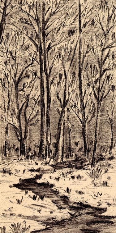 Picture of FIRST SUNLIGHT I