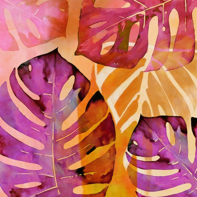 Picture of JUNGLE VIBE II