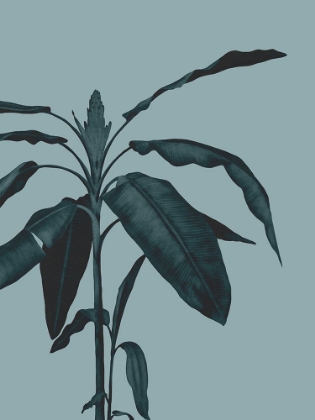 Picture of MONOCHROME TROPICAL FOLIAGE I