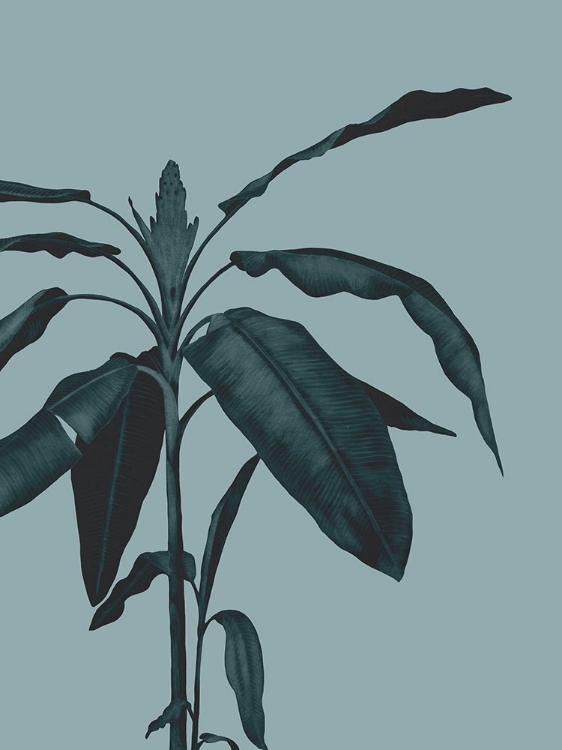 Picture of MONOCHROME TROPICAL FOLIAGE I