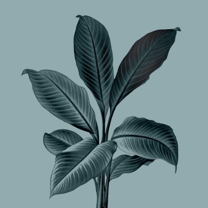 Picture of MONOCHROME TROPICAL FOLIAGE III