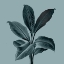 Picture of MONOCHROME TROPICAL FOLIAGE III