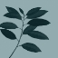 Picture of MONOCHROME TROPICAL FOLIAGE IV