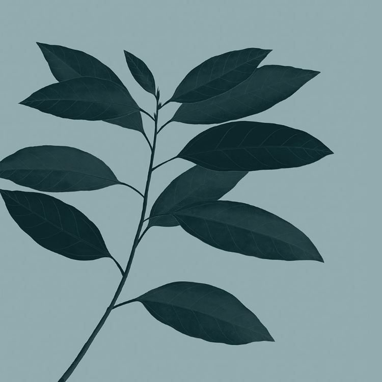 Picture of MONOCHROME TROPICAL FOLIAGE IV