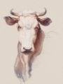 Picture of BOVINE CONCEPT I