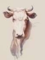 Picture of BOVINE CONCEPT I