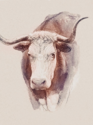 Picture of BOVINE CONCEPT II